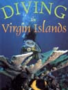 Diving the Virgin Islands